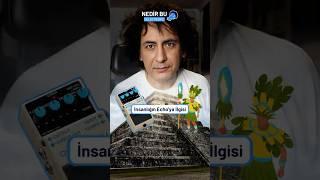 İnsanlığın Echo'ya İlgisi