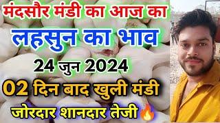 मंदसौर मंडी का आज 24 June 2024 का लहसुन का भाव | Aaj Ka Lahsun Ka Bhav | Fresh Garlic Rate Today