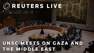 LIVE: UN Security Council meets on Gaza and the Middle East