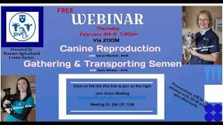 Canine Reproduction & Semen Transportation 4th Feb  2021