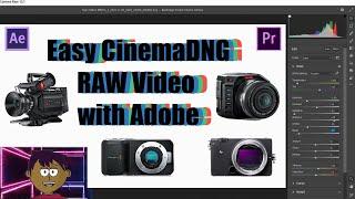 Easy Import/Processing Cinema DNG RAW Video with Adobe After Effects & Premiere