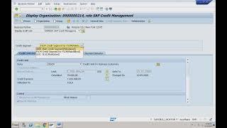 SAP S/4 HANA SD 2024 FSCM Credit Management 2 - 17