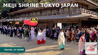 4k hdr 日本散歩 |東京の明治神宮を歩く |日本の伝統的な結婚式に出会う