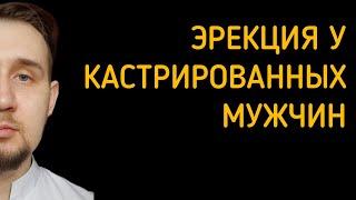 Эрекция у кастрированных мужчин. Так ли важен тестостерон? #эрекция #тестостерон