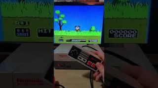 DUCK HUNT HIDDEN FEATURE!