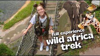 Disney's Wild Africa Trek | Everything You Need To Know About Taking This Tour | Full Experience