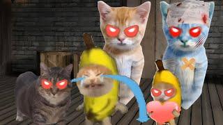 Baby Banana Cat Cry and Happy Videos Episode 32 