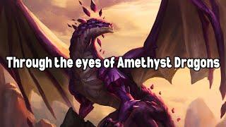 Through the eyes of Amethyst Dragons