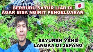 BERBURU SAYURAN LIAR DI JEPANG UNTUK BERTAHAN HIDUP !! EMANG SEGITUNYA DI JEPANG ???