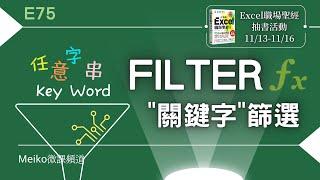【抽書】Excel教學 E75 | 使用關鍵字進行Filter篩選，類萬用字元篩選 | 篩選回傳特定欄位 | key word filter (抽書：Excel職場聖經)