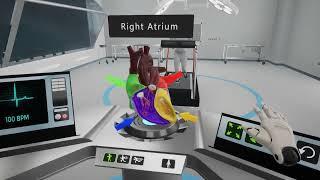 The Human Heart - Free Educational VR Experience