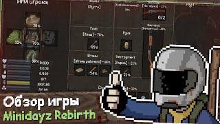 Review Minidayz Rebirth