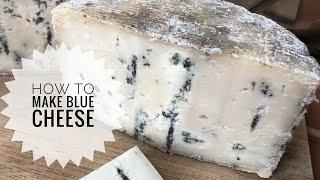 Bleu d'Auvergne Style- How to Make Blue Cheese from Goat Milk