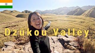 Korean Falls in Love with Dzükou Valley in Nagaland