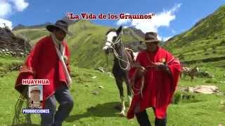 Conjunto Aficion Sangre Grauina - Hualaycho Grauino HUAYHUA PRODUCCIONES