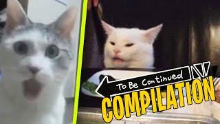 TO BE CONTINUED COMPILATION (Funny Animal Fails)