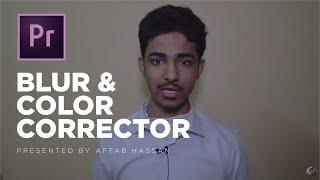 Blur Effects / Fast Color Corrector in Adobe Premiere Pro (Urdu/Hindi)