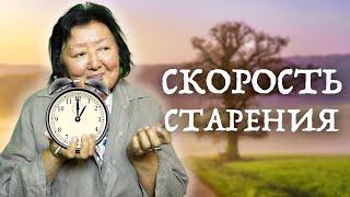 Бояться старость не надо. Три пути старости