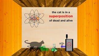 The Heisenberg Uncertainty Principle Part 1: Position/Momentum and Schrödinger's Cat