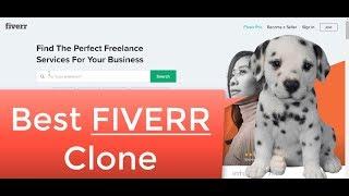 Build a Website Like Fiverr - Best Fiverr Clone Script  Wordpress Pricerr Theme Review