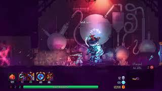 Dead Cells Clinic  - Tips on Custom mode, Cell farming, and speed running