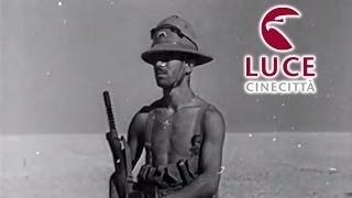 Battaglia di El Alamein: soldati italiani attaccano il nemico (1942)