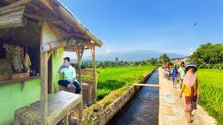 Makes you feel at home, having coffee with farmers at a stall in the middle of the rice fields while