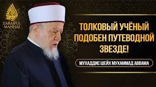 Толковый учёный подобен путеводной звезде! | Мухаддис Шейх Мухаммад Аввама