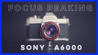 Sony A6000 Focus Peaking with Adapted Vintage Lenses