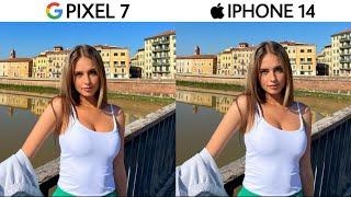 Google Pixel 7 vs iPhone 14 Camera Test