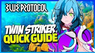 Blue Protocol Class Overview - Twin Striker Guide