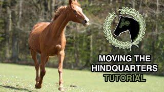 How to move your horse hindquarters without force | Tutorial | Clicker training