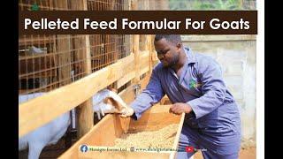 Goat Feed formula- Pelleted to Guarantee Standard Weights- Balanced diet supplement feed.