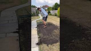 Lawn Level Dance #lawncare #level #renovation #grass #lawn #diy #garden #lawnmaintenance