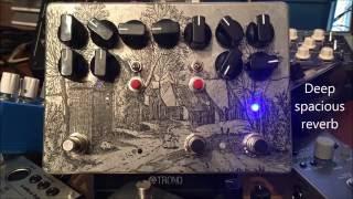 EzhiandAka Reverb/Pitch shifter/Tape+ multi effect Monster!