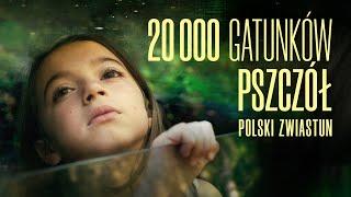 20 000 gatunków pszczół (2023) zwiastun PL, już na VOD