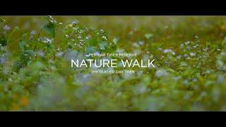Nature walk