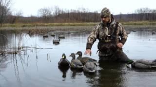 Pool 7 Magnum Mallards - Floater Duck Decoy Preview