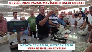 MAVİŞEHİR BALIK MEZATI YAVAŞ YAVAŞ ASLINA DÖNÜYOR, MEZAT GİBİ MEZATLAR OLMAYA BAŞLADI YİNE. 8 EYLÜL.