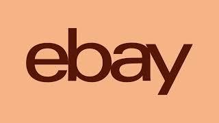 Programa de desarrollo de negocios eBay.