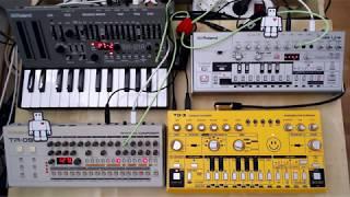 Boutique Acid Session - Behringer TD-3 & Roland TB-03, SH-01A, TR-09