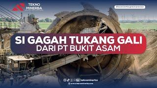 Si Gagah Tukang Gali dari PT Bukit Asam