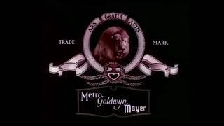 MGM Coffee The Lion (Cute Better Quality Roar)