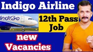 Indigo Airlines job Vacancy 2021| Airlines Job Vacancy 2021| Airport Job Vacancy 2021 |  @flyair ​