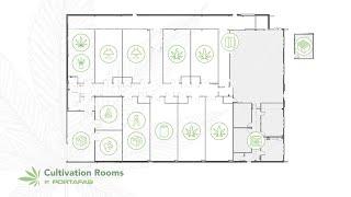 Ideal Conditions for Grow Room Cultivation | PortaFab Cultivation Rooms | Modular Cultivation Rooms