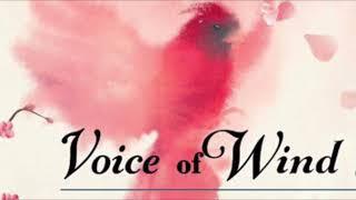 SOUNDIRON - Voice Of Wind “Adey” sound test.