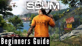 The Absolute Beginners Guide to Scum - 2024