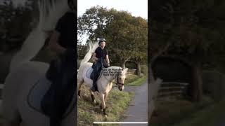 Why I hate Harlow White #shorts #horses #harlowlunawhite #horseriding #horses#harlowandpopcorn