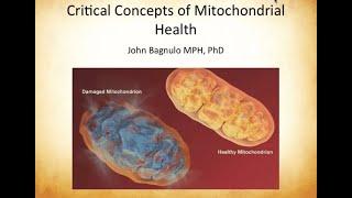 Critical Concepts in the Nutritional Support of Mitochondria