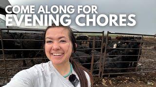 Come do evening chores with me | Day in the life of a 27 year old farmer